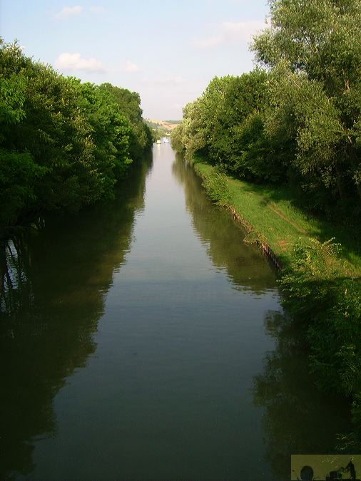 dsci0341.jpg