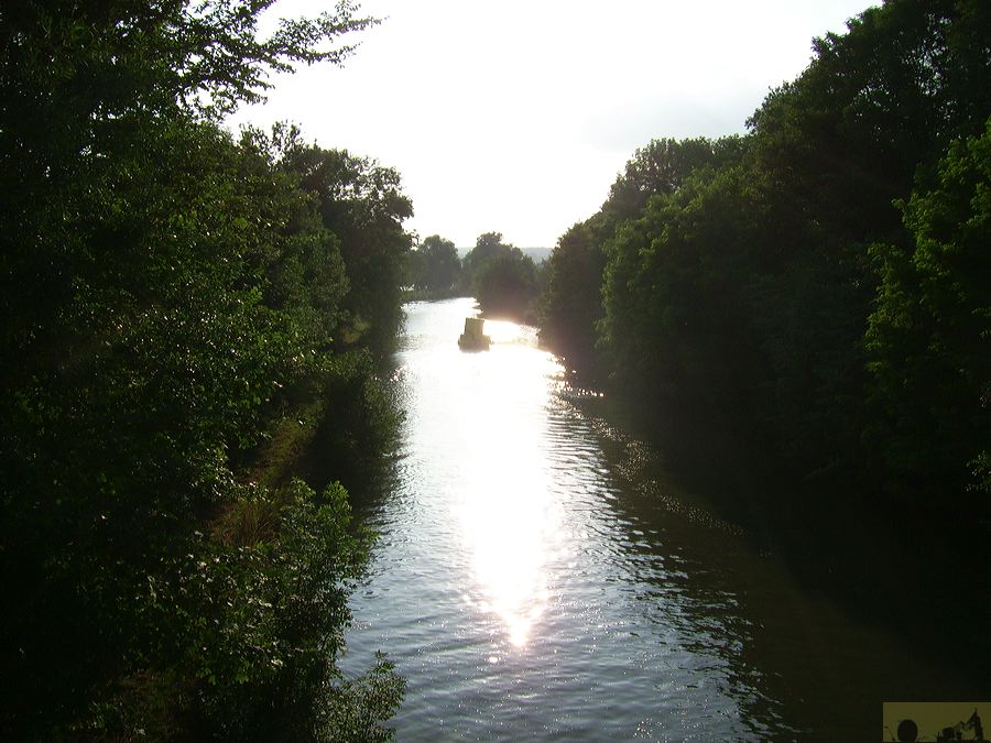 dsci0342.jpg