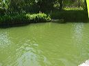 dsc00041