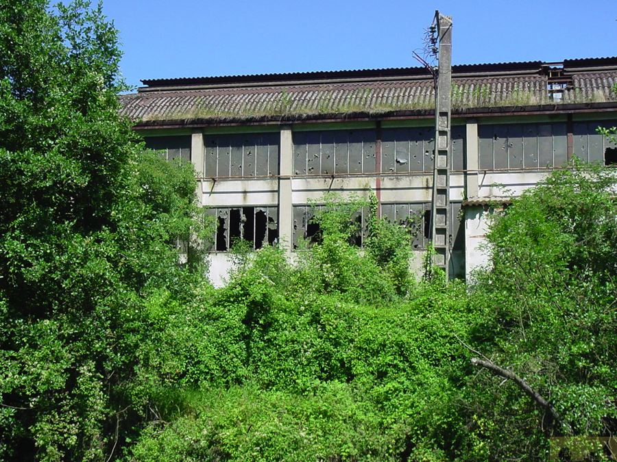 dsc00009.jpg
