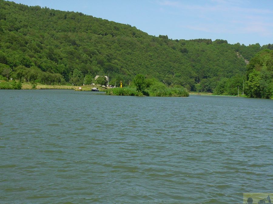 dsc00017.jpg