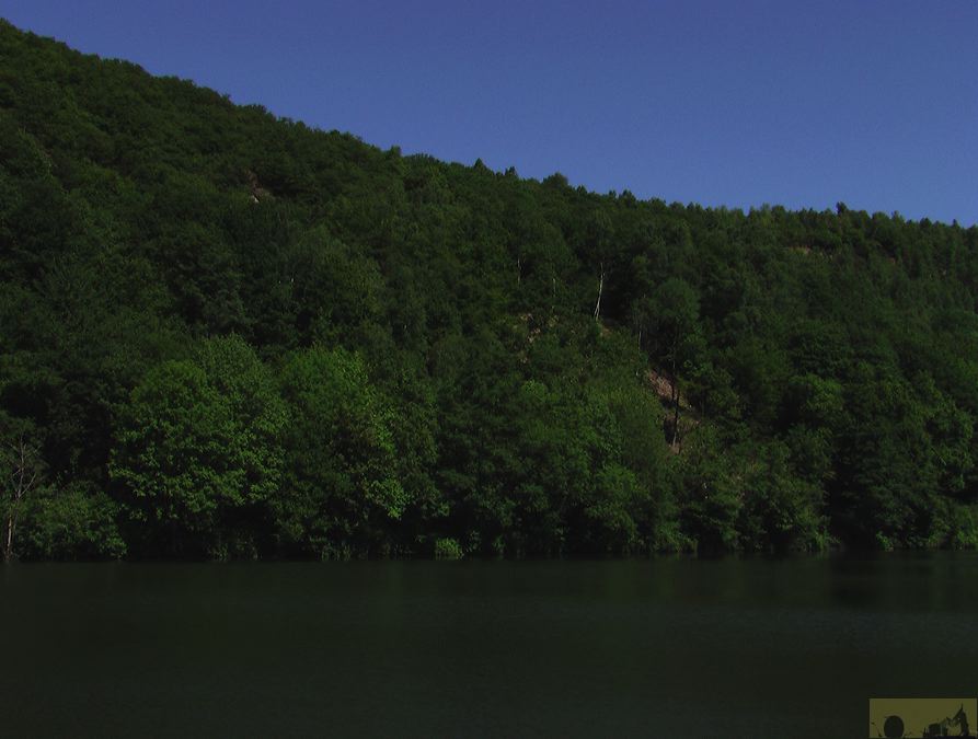 imga0160.jpg