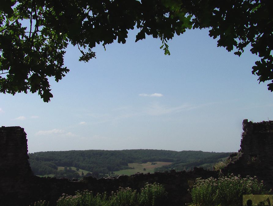 imga0345.jpg