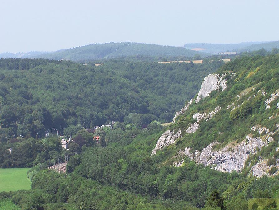 imga0354.jpg