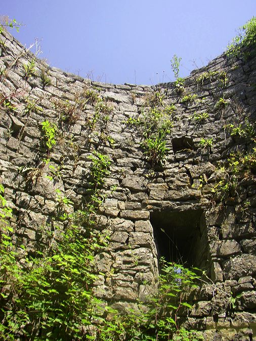 p1010020.jpg