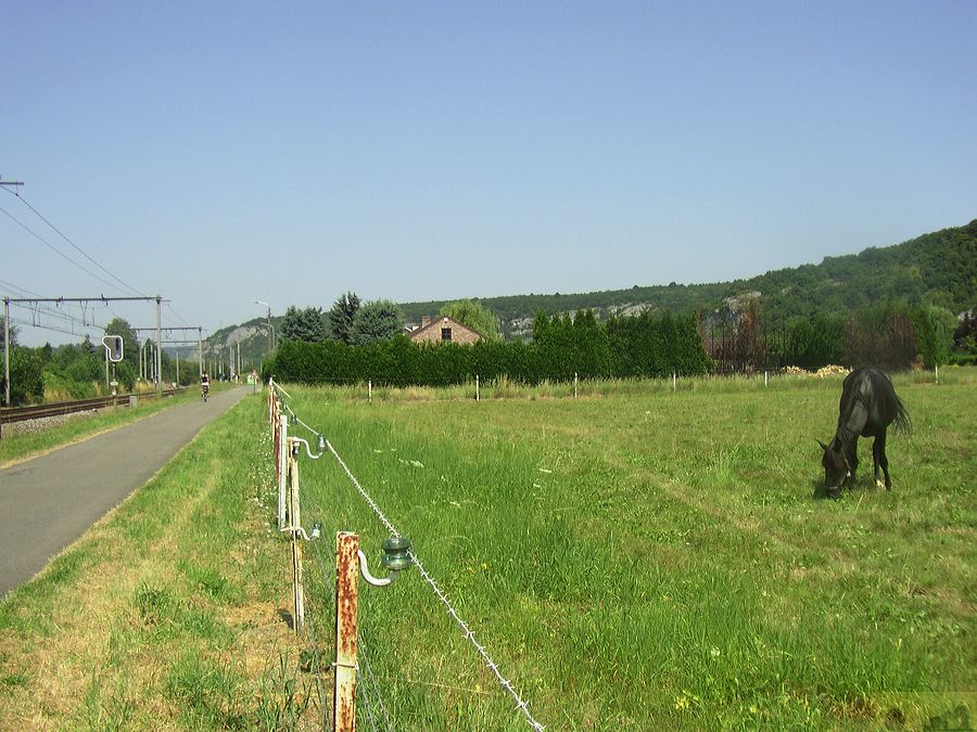 p1010013.jpg