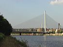 imga0749