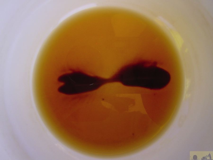 dsc00002.jpg
