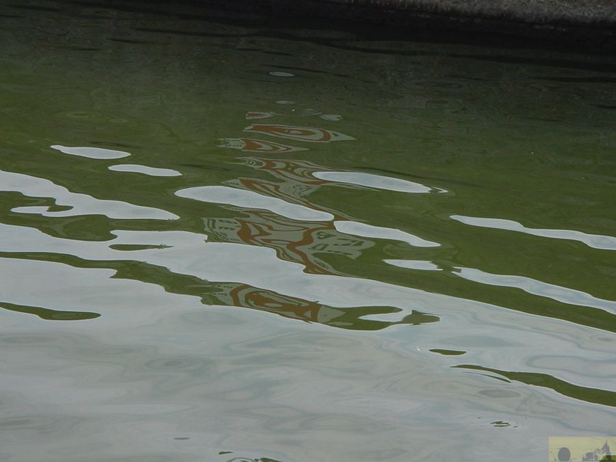 dsc00090.jpg