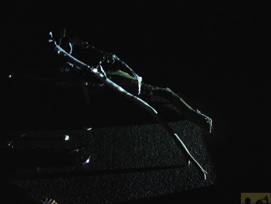 imga0829.jpg