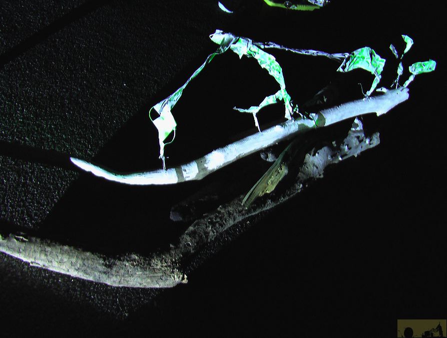 imga0842.jpg