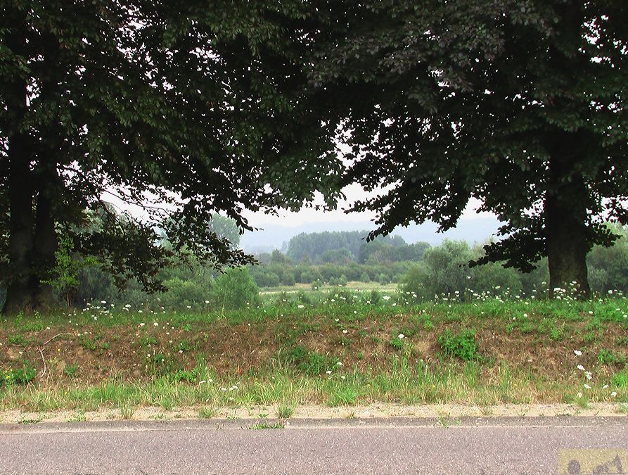 imga0993.jpg