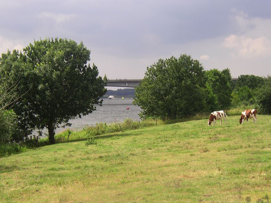 p1010343.jpg
