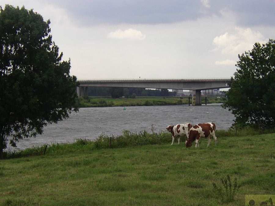 p1010345.jpg