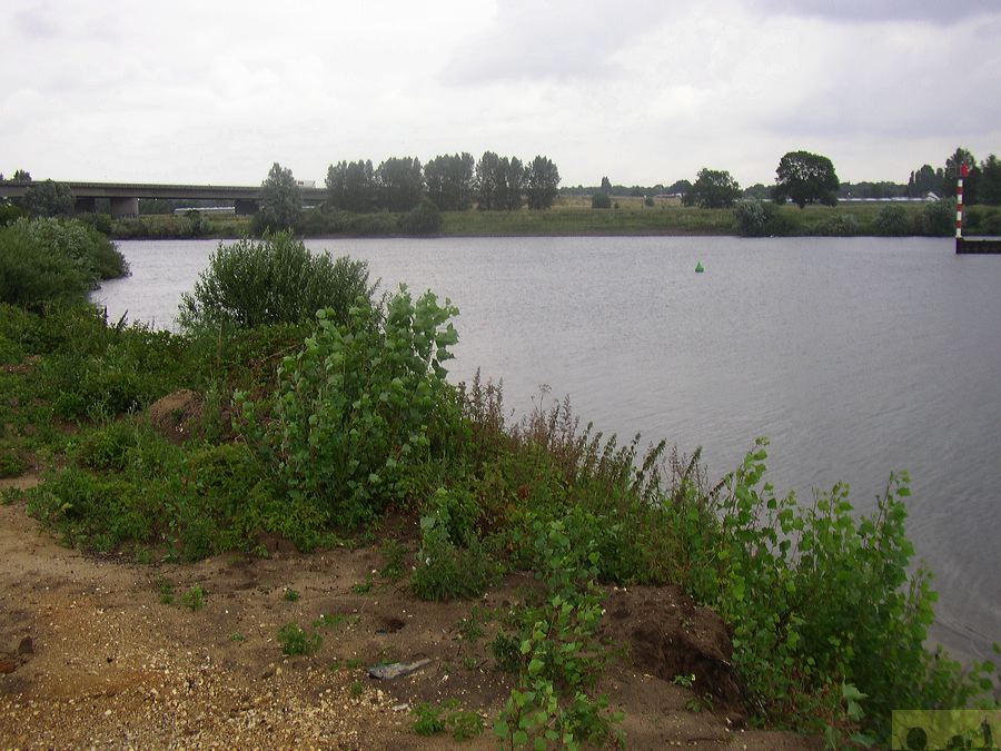 p1010313.jpg
