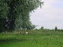 dsc00003