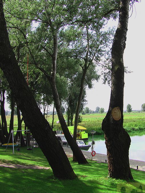 imga0844.jpg