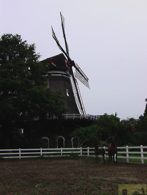 imga0933.jpg