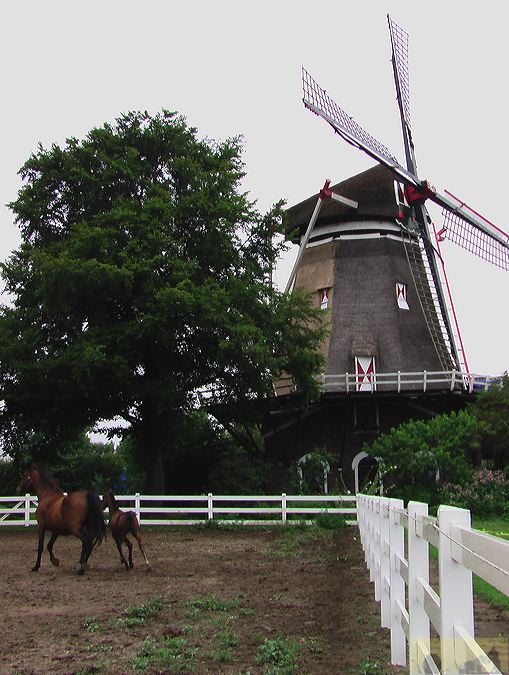 imga0934.jpg