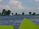 dsc00005