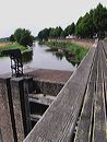 imga0288