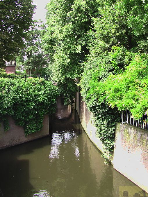 imga0287.jpg