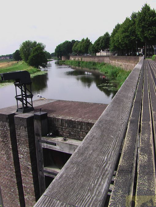 imga0288.jpg