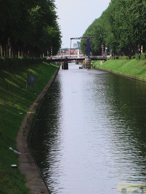 imga0338.jpg