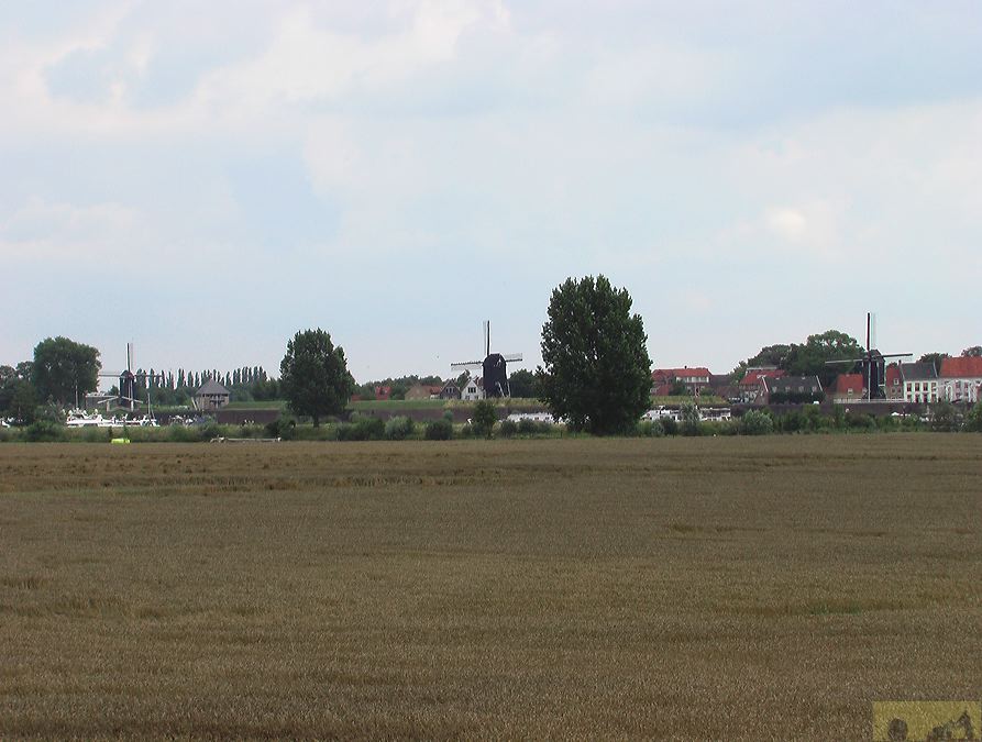 imga0383.jpg