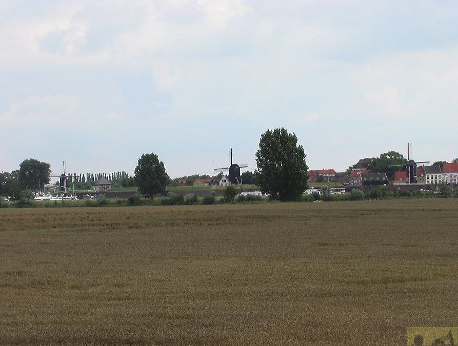 imga0386.jpg