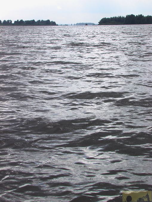 imga0616.jpg