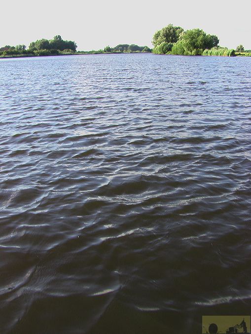 imga0744.jpg