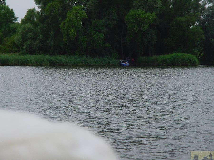 dsc00010.jpg