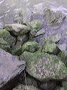 p1010087