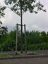 dsc00090