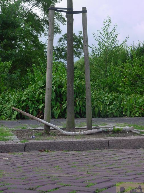 dsc00094.jpg