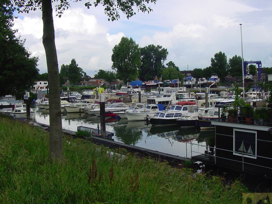 dsc00095.jpg