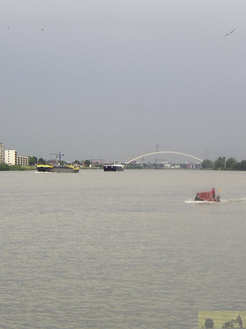 p1010003.jpg