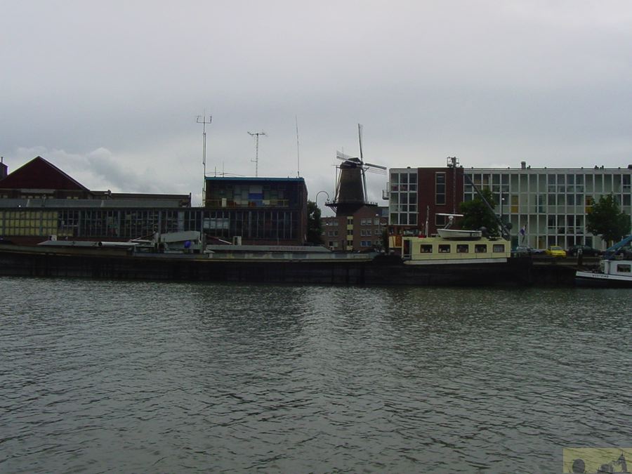 dsc00017.jpg