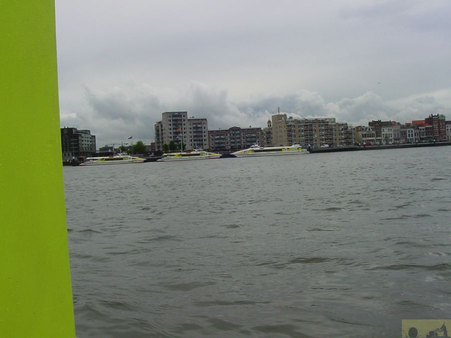 dsc00019.jpg