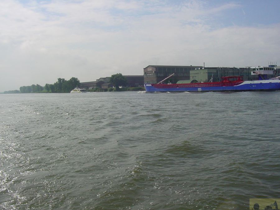 dsc00052.jpg